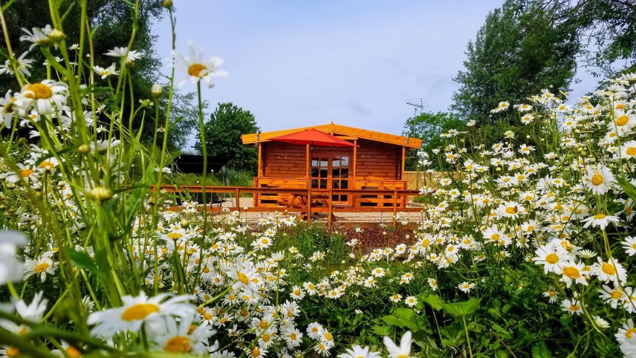 לינקולן East Pool Cabin מראה חיצוני תמונה